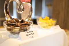 ChocolateBuffet_6